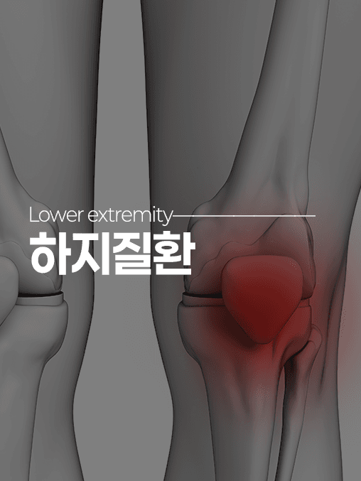 하지질환