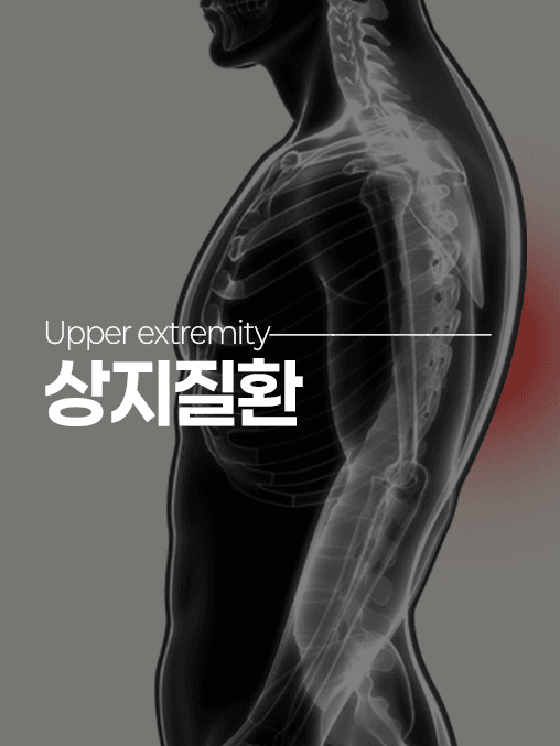 상지질환